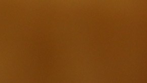 Las semillas de mostaza se obtienen de la planta Brassica campestris, conocida desde hace siglos por sus propiedades analgésicas.