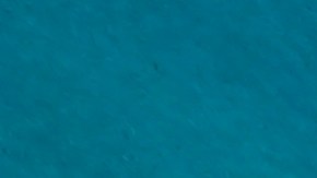 A menudo vivimos bajo la ilusión de la separación y creemos que lo que sucede en el azul profundo no tiene eco en nuestro espíritu.