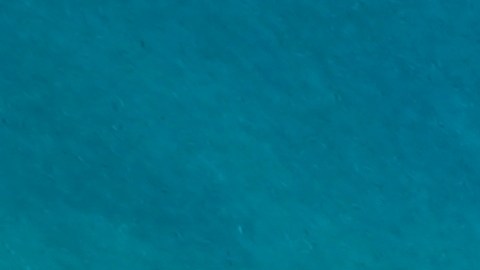 A menudo vivimos bajo la ilusión de la separación y creemos que lo que sucede en el azul profundo no tiene eco en nuestro espíritu.