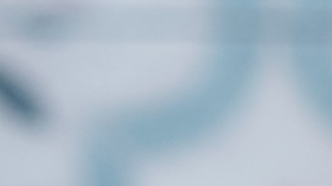 Este snack no es solo una "receta fit" más; es nutrición estratégica. Al combinar la fibra soluble de la chía con la proteína de alto valor biológico del yogur griego