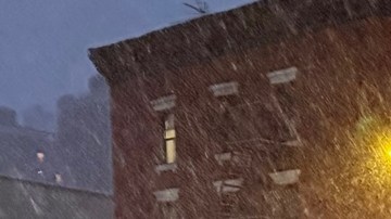 Comienza nevada en Nueva York y Nueva Jersey: cancelan vuelos, clases y espectáculos por tormenta invernal