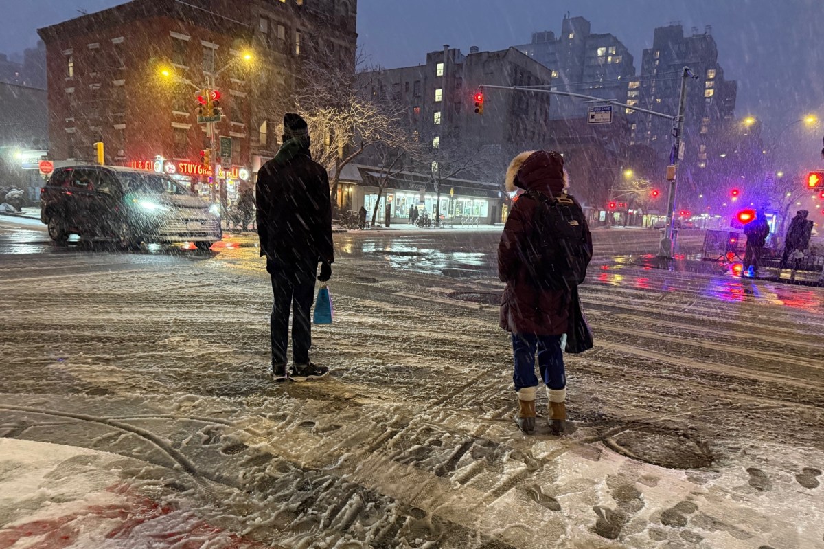 Comienza nevada en Nueva York y Nueva Jersey: cancelan vuelos, clases y espectáculos por tormenta invernal