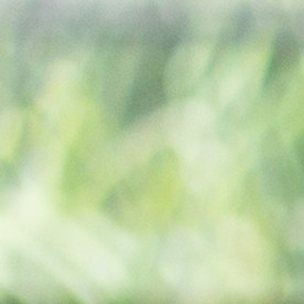 Lanzan campaña para impulsar el voto latino.