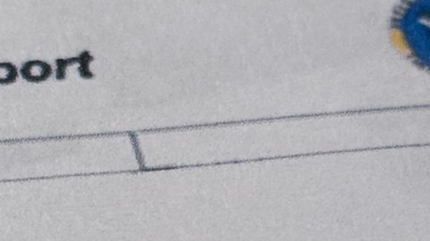 ¿Es Zohran Mamdani el niño que aparece con Jeffrey Epstein en fotos virales?