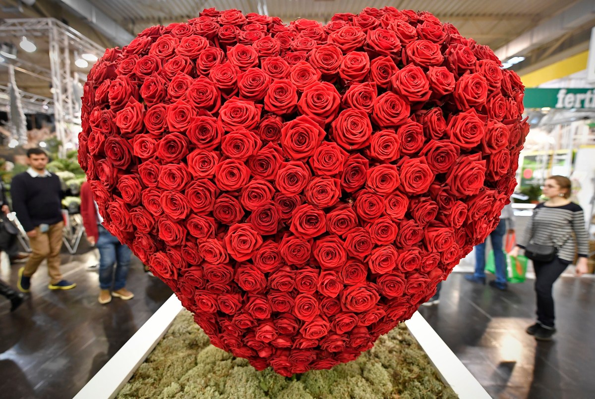 ¿Por qué se regalan rosas rojas en el Día de San Valentín?