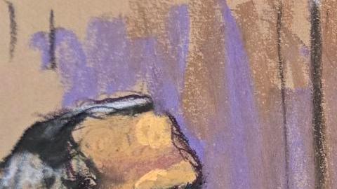 Fotografía de un dibujo realizado por la artista Jane Rosenberg donde aparece el presidente depuesto de Venezuela, Nicolás Maduro (d), junto a su esposa Cilia Flores.