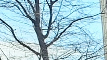 Los consumidores asumen que una nueva escalada de aumentos de precios se avecina.