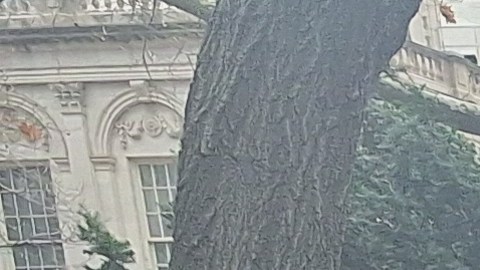 70% de esta fuerza laboral son mujeres inmigrantes.