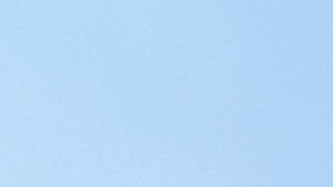 Problemas en hospitales de NYC por traducción, elmhurst