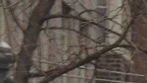 Presencia policial reforzada en Gracie Mansion, residencia del alcalde de Nueva York