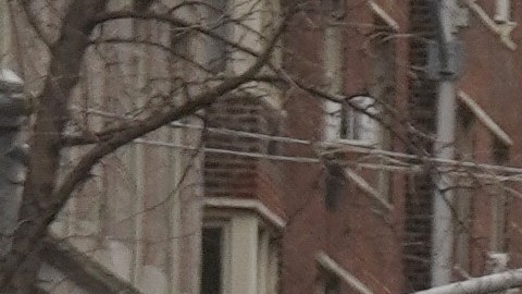 Presencia policial reforzada en Gracie Mansion, residencia del alcalde de Nueva York