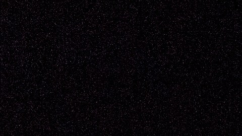 Dirigida por la peruana Chela De Ferrari y presentada por Theatre for a New Audience (TFANA) en el Polonsky Shakespeare Center de Brooklyn, la producción reúne a ocho actores con síndrome de Down.