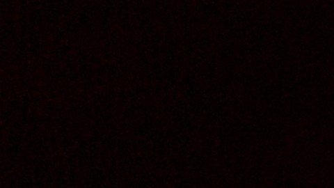 El trío mexicano visita de nuevo nuestra ciudad para compartir su música.