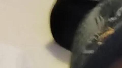 Fotografía divulgada por la página de recaudación de fondos GoFundMe donde aparece Alberto Gutiérrez Reyes, un inmigrante mexicano de 48 años.