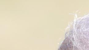 Combo de fotografías que muestra al presidente de Estados Unidos, Donald Trump, y a la presidenta encargada de Venezuela, Delcy Rodríguez.