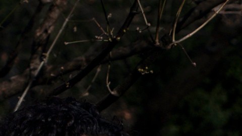 Comunidades afectadas por la presencia de La Migra en sus vecindarios exigen más protecciones para las familias migrantes.