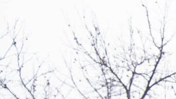 El Alcalde Mamdani anunció un nuevo conjunto de herramientas y asistencia financiera para facilitar a los propietarios la construcción de viviendas auxiliares ADU en sus propiedades