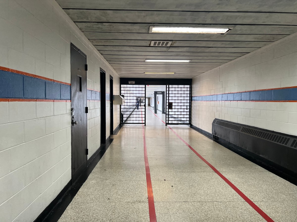 Arrecian llamado a aprobar ley de excarcelación y mejoras a condiciones de reclusos en NY