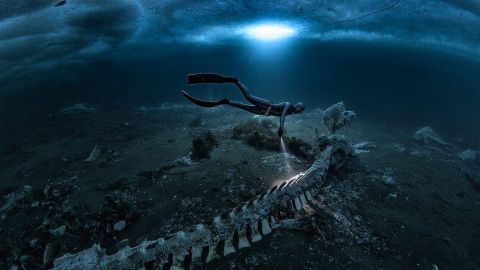 86ce3d30-19a4-11f1-b048-c9424b2cf5fd