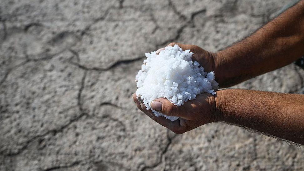 La invasión de agua salada: ¿Cómo afecta a nuestros cultivos?