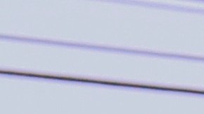 El seguro de auto no es opcional. Es un requisito básico de la vida diaria.