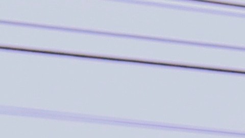 El seguro de auto no es opcional. Es un requisito básico de la vida diaria.