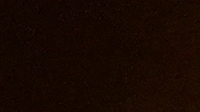 American Music Awards