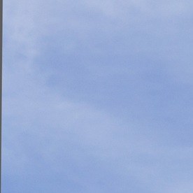 La Corte Suprema decidió sobre la apelación de un caso de asilo.