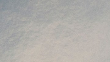 Los tripulantes del avión sobrevivieron.