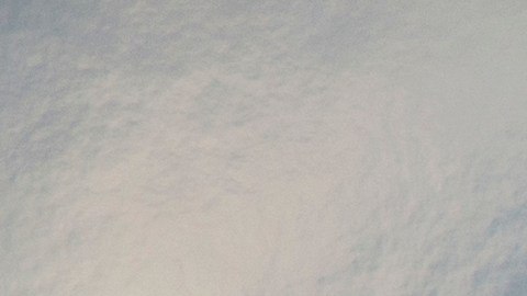 Los tripulantes del avión sobrevivieron.