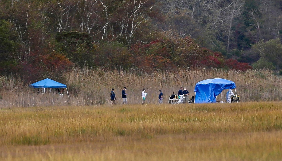 Policía confirma que cabeza hallada en Queens pertenece al torso encontrado hace meses en una bolsa de basura