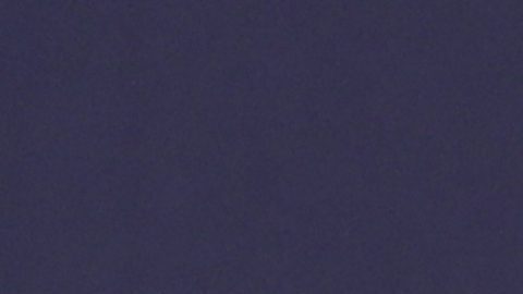 Dennis Rodman será incluido en el Salón de la Fama de la WWE