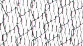 El panel judicial tomó la decisión con una votación de 2 a 1.