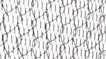 El panel judicial tomó la decisión con una votación de 2 a 1.