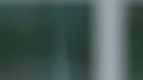 Donald Trump muestra su apoya a Tiger Woods tras el accidente: “Está pasando por un momento difícil”