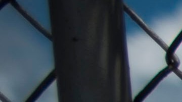 Comedores Sociales en Puerto Rico contra la inseguridad alimentaria