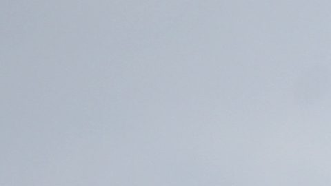 La MLS impone ejemplarizante sanción a dos jugadores culpables de apuestas ilegales