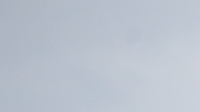 La MLS impone ejemplarizante sanción a dos jugadores culpables de apuestas ilegales