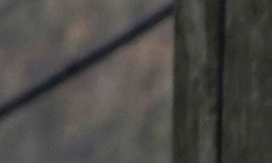 El fuego tardó más de dos horas en ser extinguido, con el apoyo de 50 bomberos de South Essex y otros apartamentos.