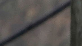 El fuego tardó más de dos horas en ser extinguido, con el apoyo de 50 bomberos de South Essex y otros apartamentos.