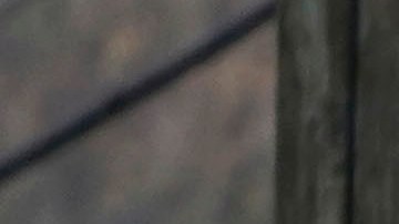 El fuego tardó más de dos horas en ser extinguido, con el apoyo de 50 bomberos de South Essex y otros apartamentos.