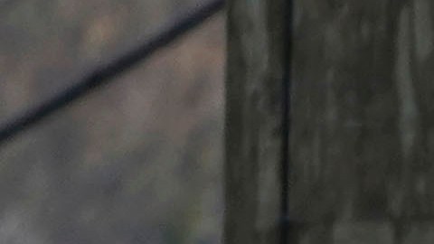 El fuego tardó más de dos horas en ser extinguido, con el apoyo de 50 bomberos de South Essex y otros apartamentos.