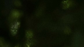 Foto referencial de la policía de Georgia atendiendo un accidente.