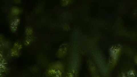 Foto referencial de la policía de Georgia atendiendo un accidente.