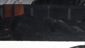 Los funcionarios dijeron que la pelea era de naturaleza doméstica.