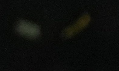Argentina's Lionel Messi holds a trophy as he celebrates with his teammates after winning the Finalissima soccer match between Italy and Argentina at Wembley Stadium in London , Wednesday, June 1, 2022. Argentina won 3-0. (AP photo/Frank Augstein)
