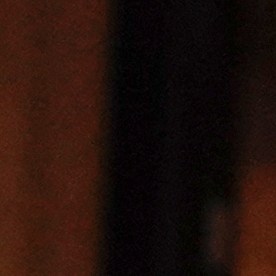 Senadora de NY, Kirsten Gillibrand