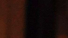 Senadora de NY, Kirsten Gillibrand