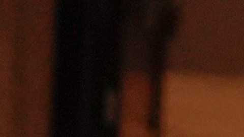 Senadora de NY, Kirsten Gillibrand