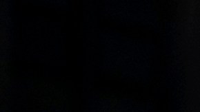 Foto referencial de seguidores MAGA del presidente Donald Trump.